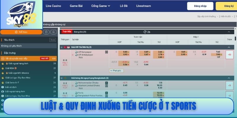 Luật & quy định xuống tiền cược ở T Sports